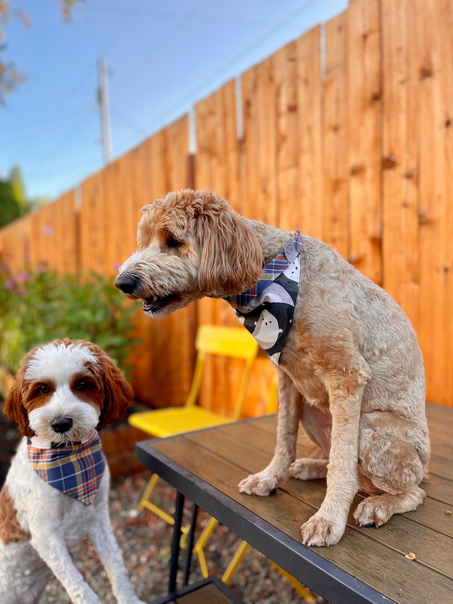 Friendliest Ghost with Plaid Flannel Pet Bandana