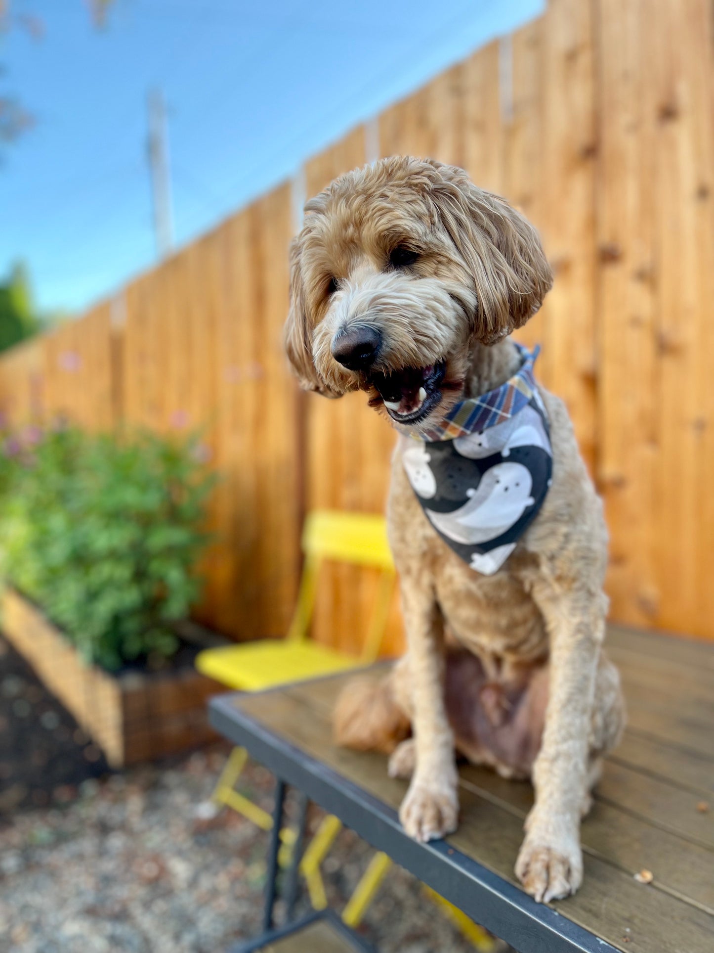 Friendliest Ghost with Plaid Flannel Pet Bandana