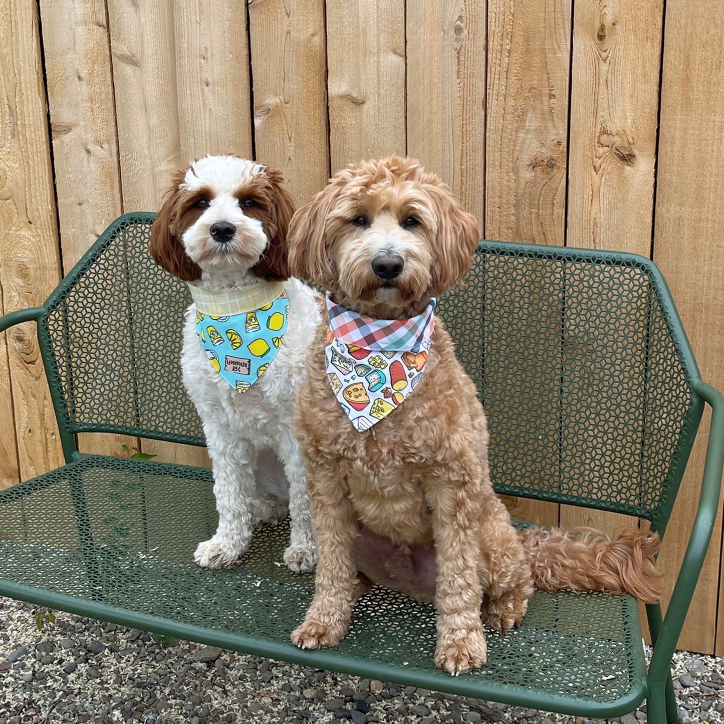 Lemonade Pet Bandana