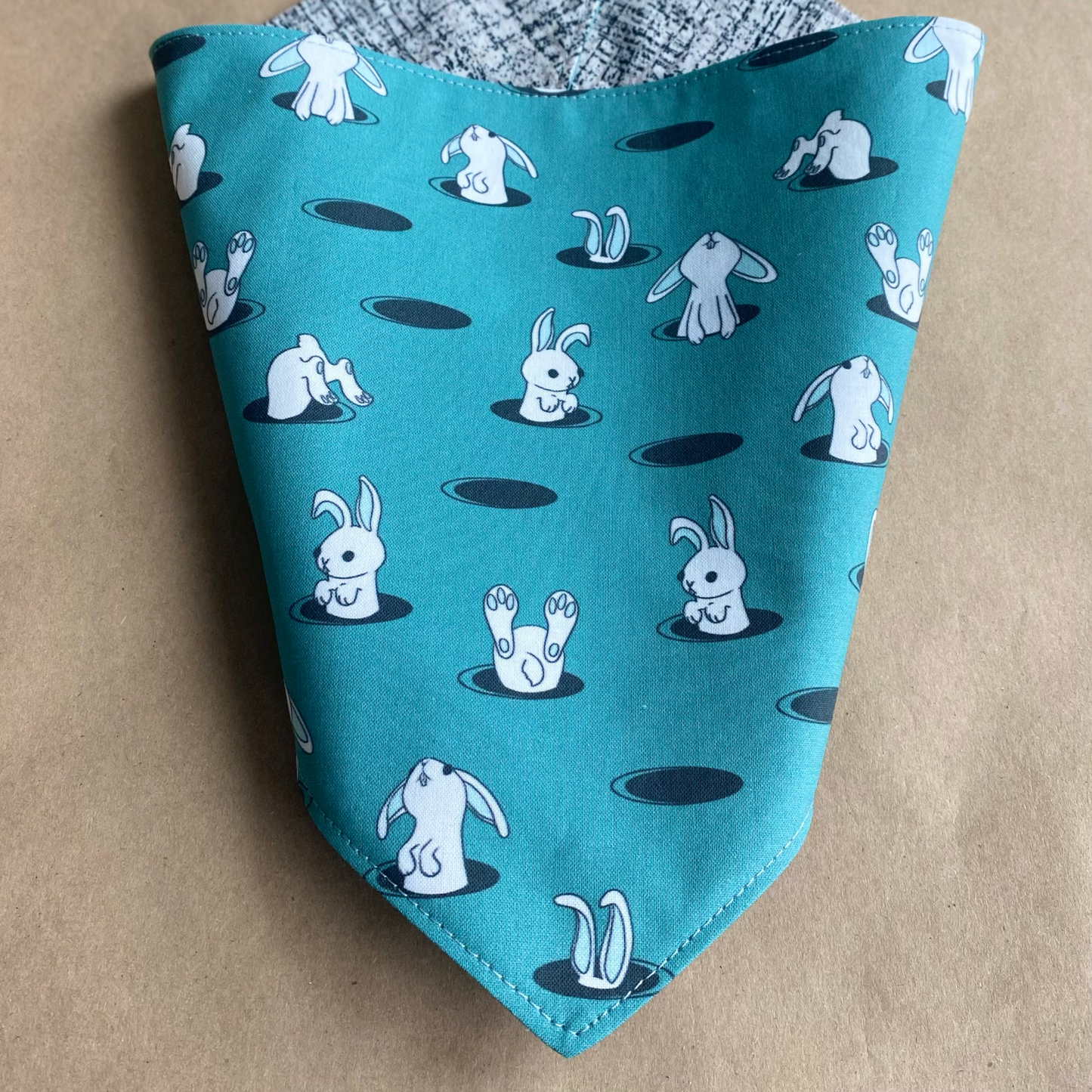 Down the Rabbit Hole Pet Bandana