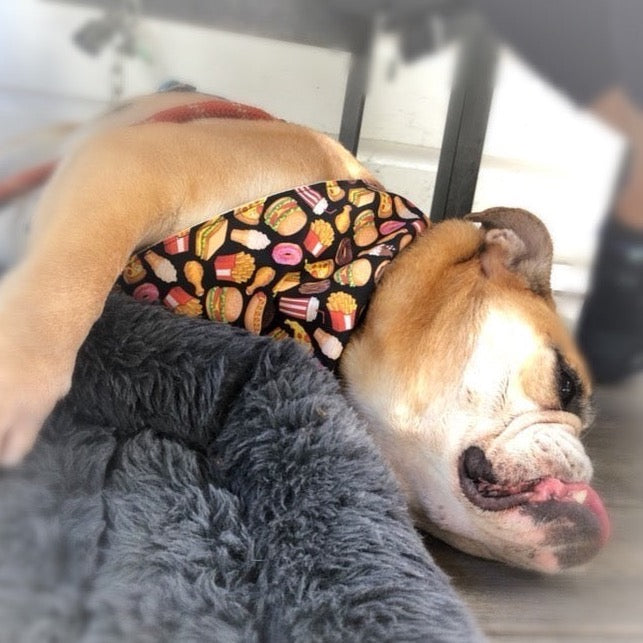 Snack Attack Pet Bandana