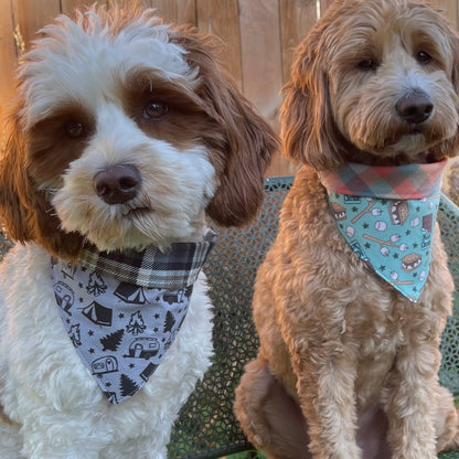 Campers with Plaid Flannel Pet Bandana