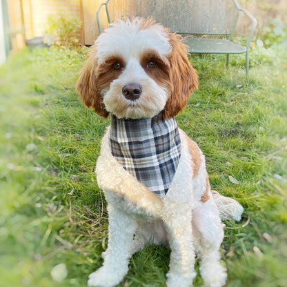 Campers with Plaid Flannel Pet Bandana