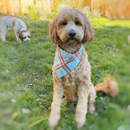 Scout Badges with Plaid Flannel Pet Bandana