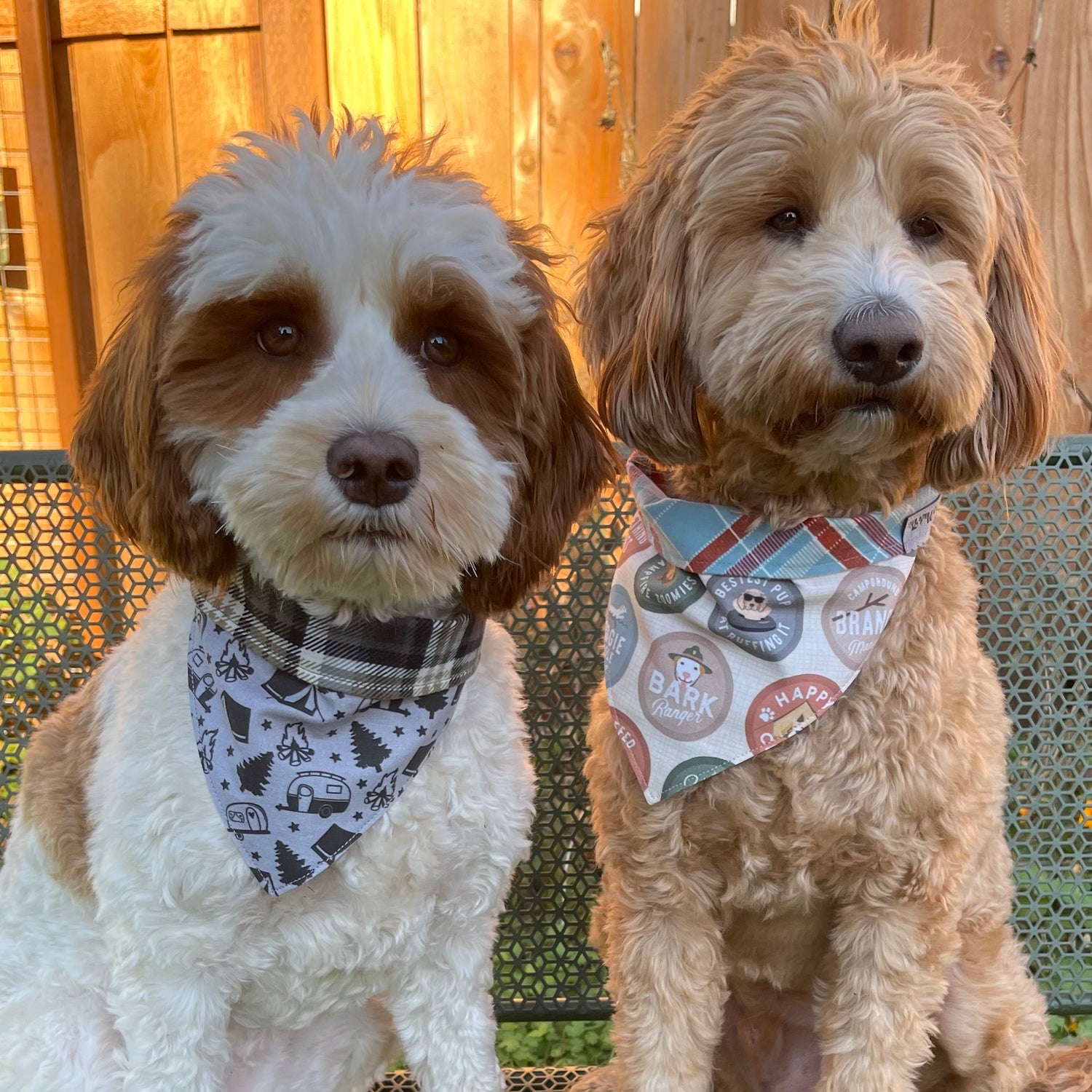 Scout Badges with Plaid Flannel Pet Bandana