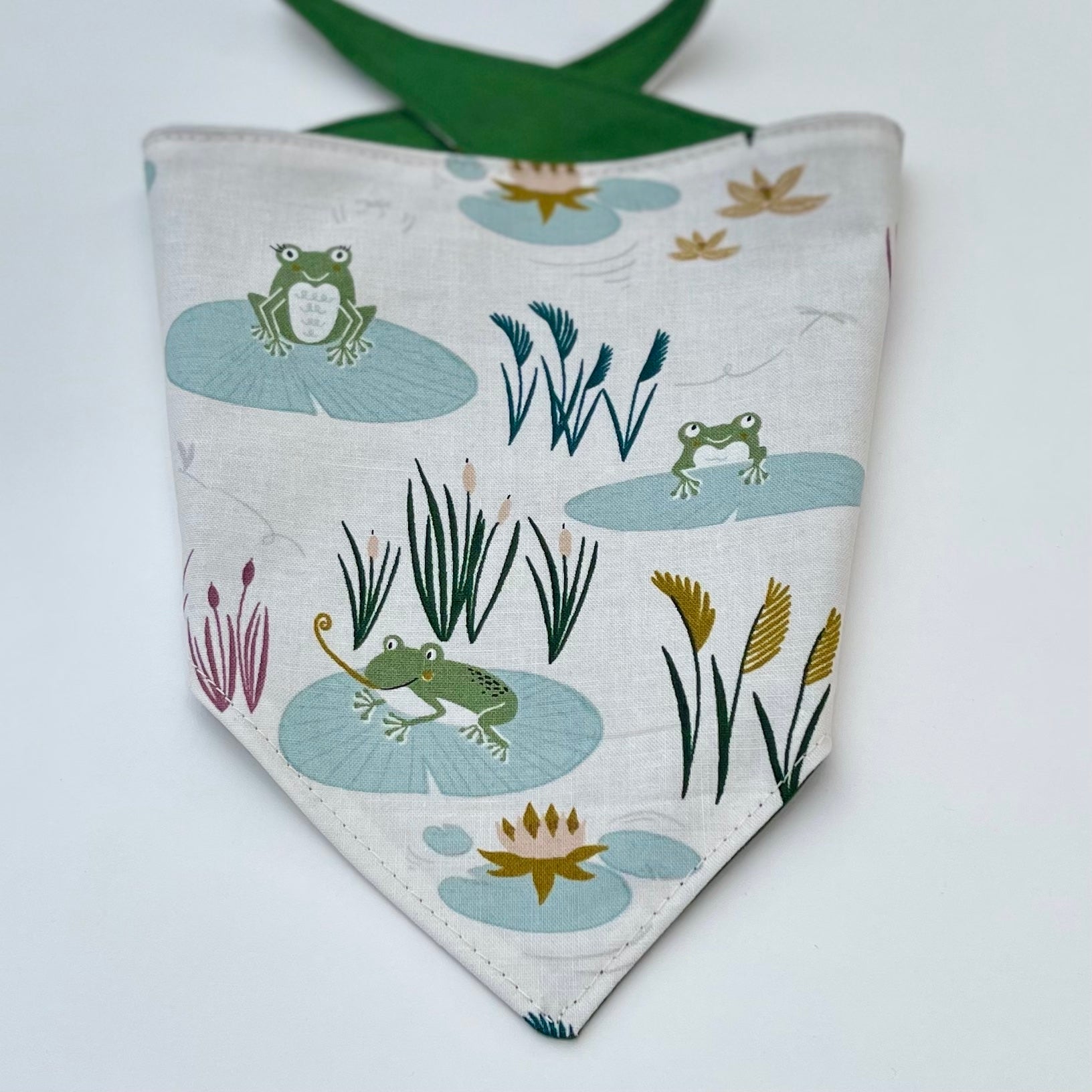 A Frog's Life Pet Bandana